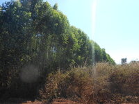 DSCN9957.JPG