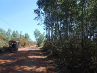 DSCN9962.JPG