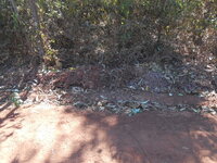 DSCN9964.JPG
