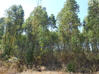 DSCN9965.JPG