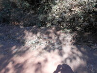 DSCN9963.JPG
