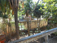 DSCN9997.JPG