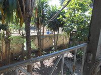 DSCN9996.JPG