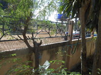 DSCN9998.JPG