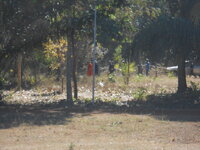 DSCN0004.JPG