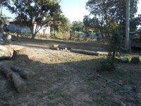 DSCN0020.JPG