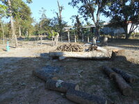 DSCN0021.JPG