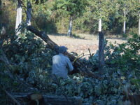 DSCN0024.JPG