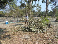 DSCN0058.JPG
