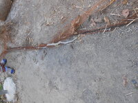 DSCN0026.JPG
