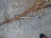 DSCN0028.JPG