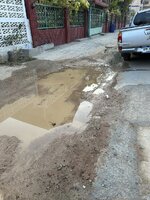 IMG_2204.jpeg