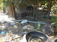 DSCN9971.JPG