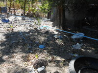 DSCN9970.JPG