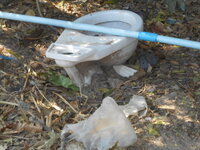 DSCN9972.JPG