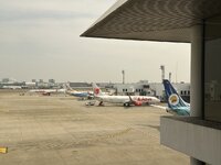 IMG_2228.jpeg