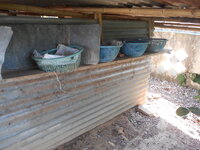 DSCN9983.JPG