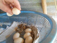 DSCN9987.JPG