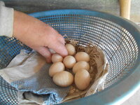 DSCN9986.JPG