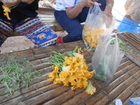 DSCN0116.JPG