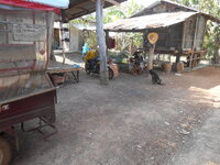 DSCN0110.JPG