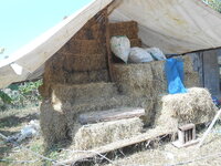 DSCN0114.JPG
