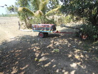 DSCN0118.JPG