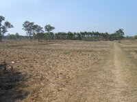 DSCN0119.JPG