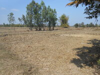 DSCN0120.JPG