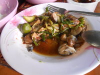 DSCN0125.JPG