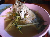 DSCN0126.JPG