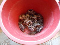 DSCN0175.JPG