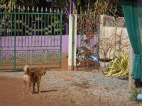 DSCN0176.JPG