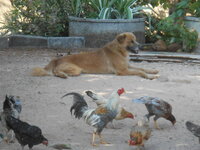 DSCN0177.JPG