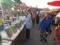 DSCN0305.JPG