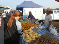 DSCN0301.JPG