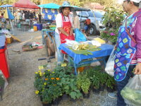 DSCN0309.JPG