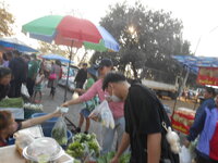 DSCN0306.JPG