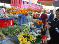 DSCN0308.JPG