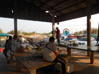 DSCN0313.JPG