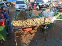 DSCN0316.JPG