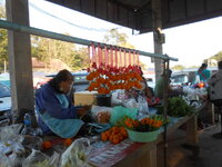 DSCN0314.JPG