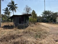 IMG_2676.jpeg