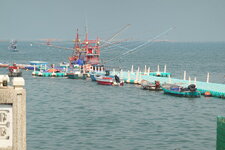 DSC02731.JPG