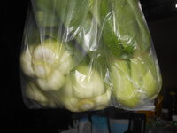 DSCN9857.JPG DSCN9857.JPG