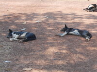 DSCN0223.JPG