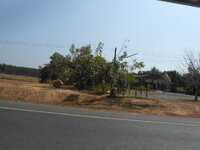 DSCN0259.JPG