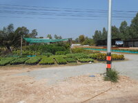 DSCN0263.JPG