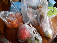 DSCN0266.JPG