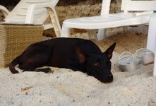 IMG_20250128_065539.jpg